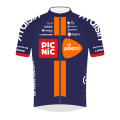 Shirt Team Picnic PostNL