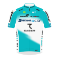 Shirt Bardiani CSF 7 Saber